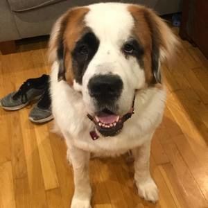 Meet your Posher, Kaden